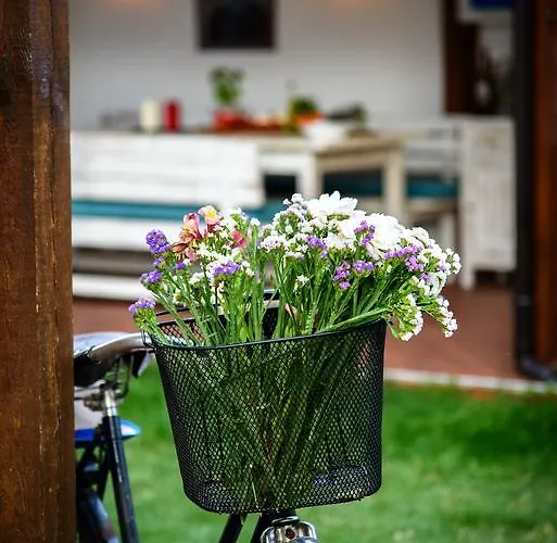 The Clock House סמוקוב